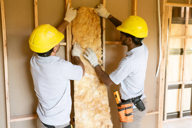 Best Basement Insulation  in Cherryvale, KS